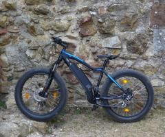 Fatbike "ASPEN" von Leon Cycle